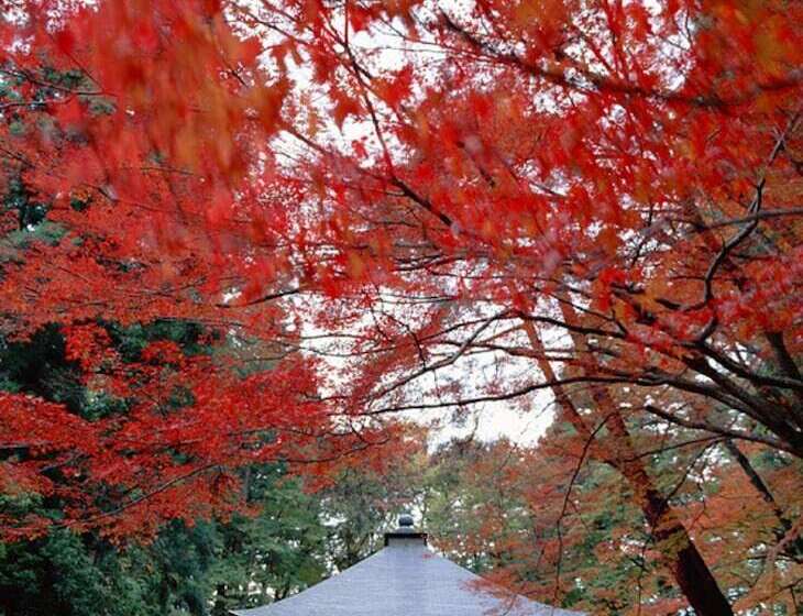 日式旅馆 Shizukatei