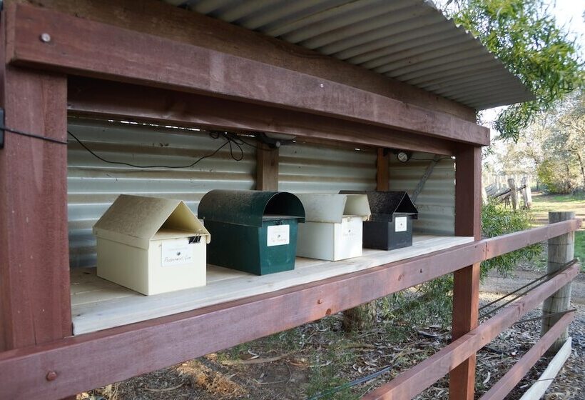 Gisborne Peak Winery Short Term Stays