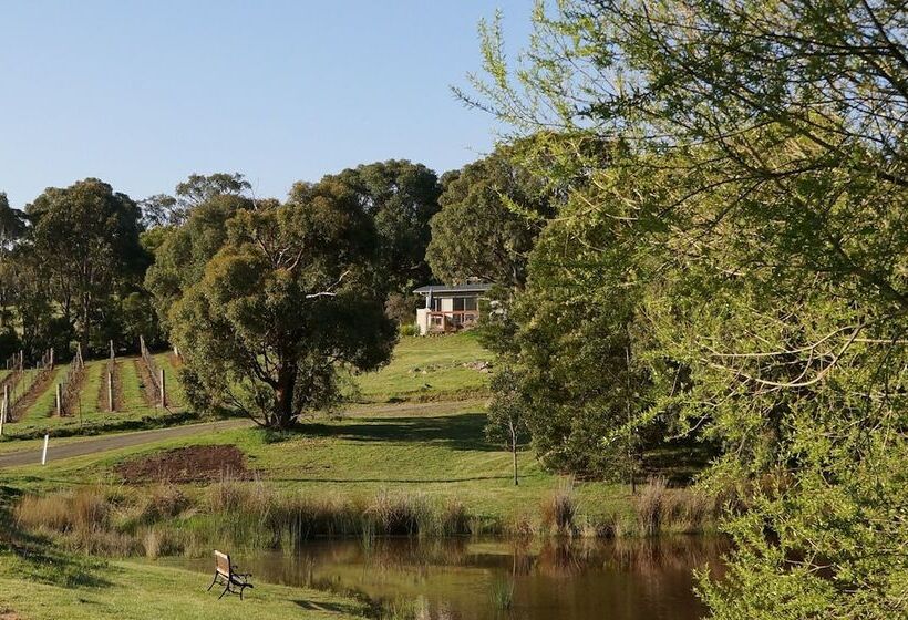 Gisborne Peak Winery Short Term Stays