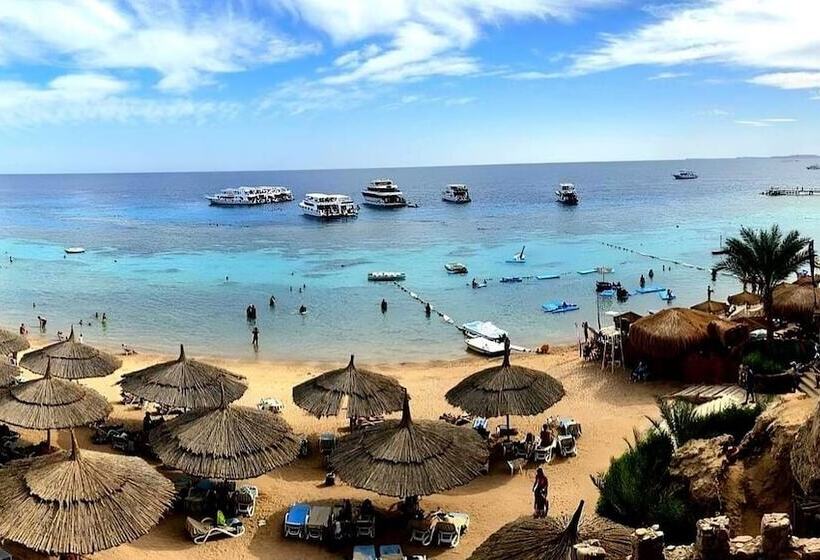 Fotos del hotel Club El Faraana Reef Resort:  14