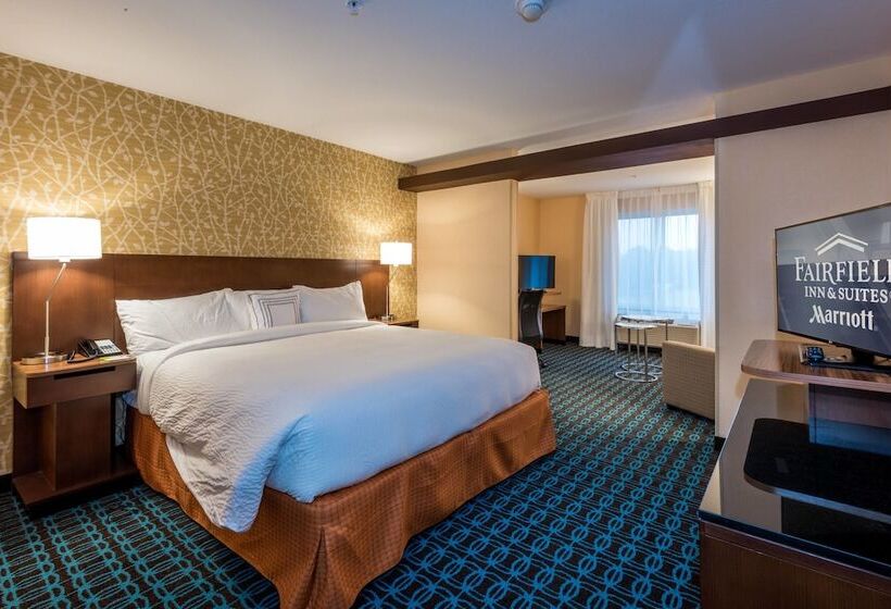 هتل Fairfield Inn & Suites By Marriott Enterprise