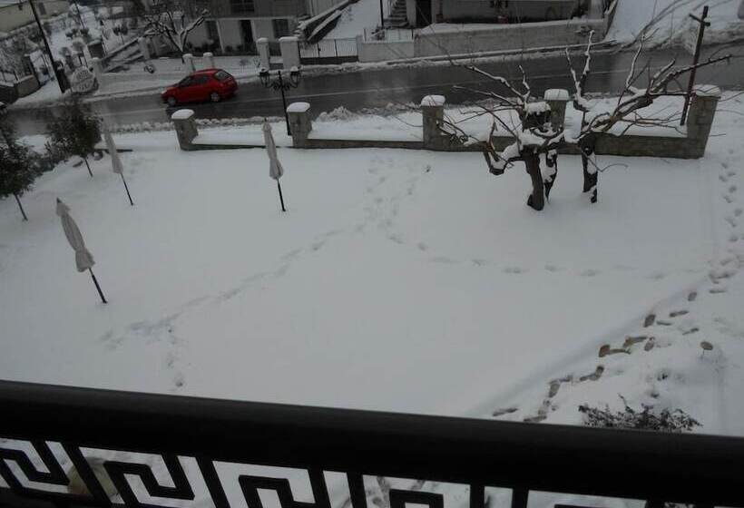 Fotos del hotel Gogos:  13