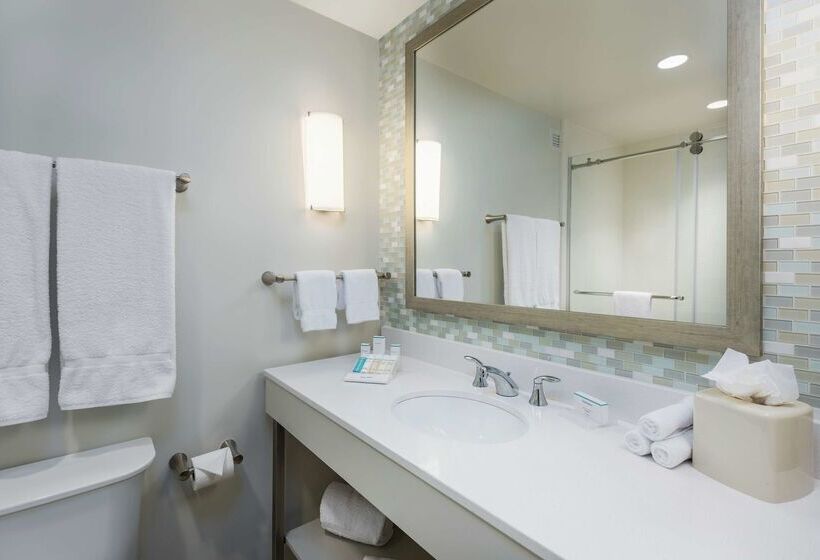 בית מלון כפרי Hilton Garden Inn Miami Dolphin Mall