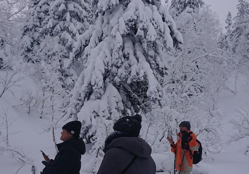 فندق K S House Hokkaido  Asahidake Onsen Hostel
