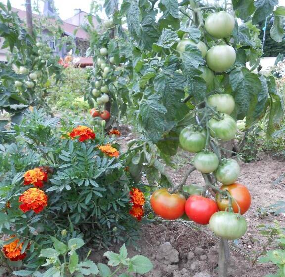 بنسيون La Ferme Des 3 Suissesses