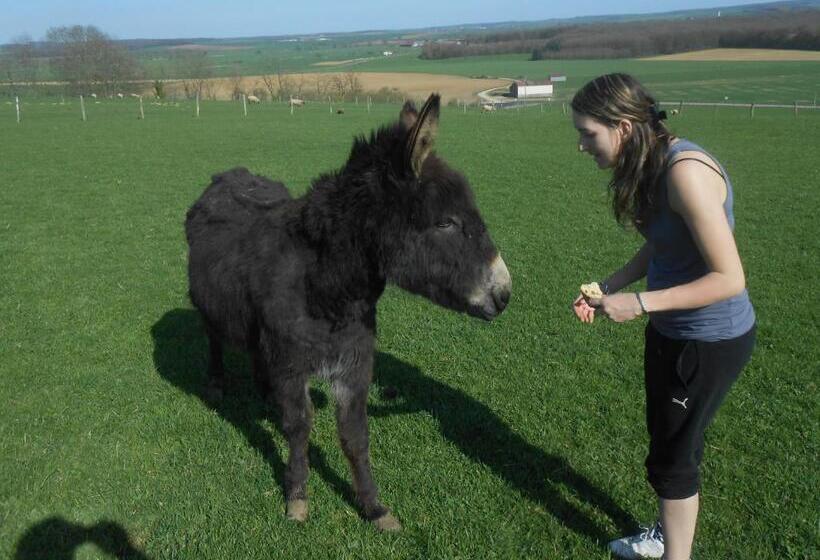بنسيون La Ferme Des 3 Suissesses