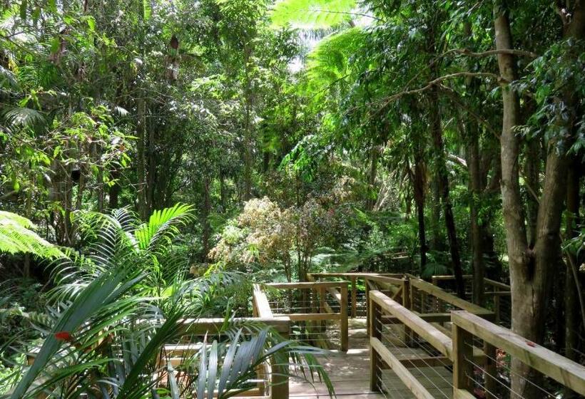 Treetops Montville