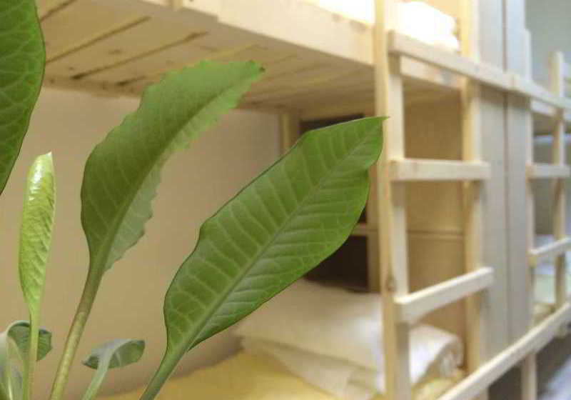 Hostel Oxygen