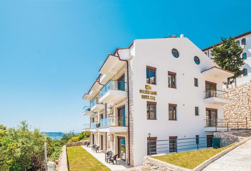 هتل Golden Rose Suit Pension