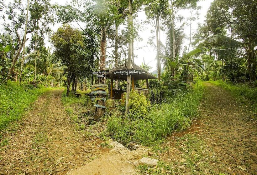 בית מלון כפרי Oyo Homes 91089 Desa Wisata Air Terjun Way Kalam Syariah