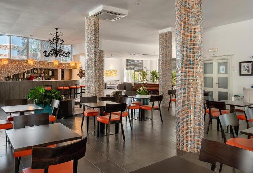 هتل The Pelican Beach Resort & Spa  Adults Only