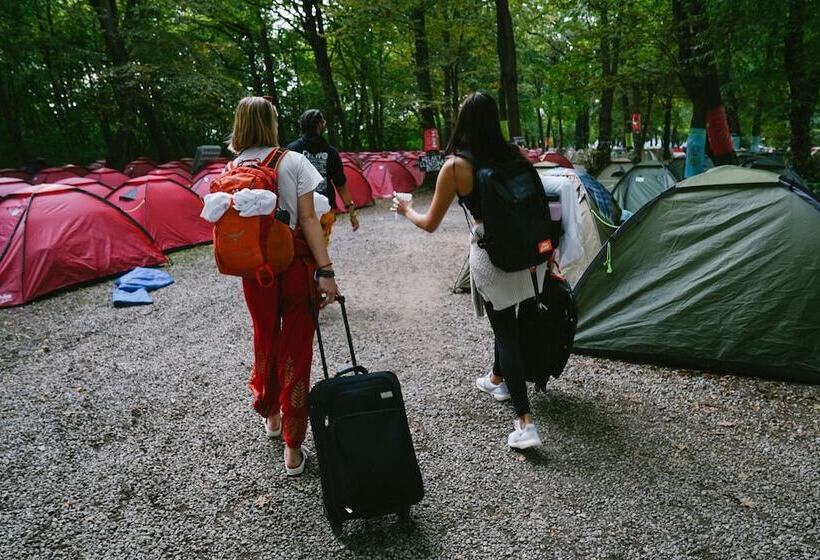 تختخواب و صبحانه Oktoberfest On A Budget Camping