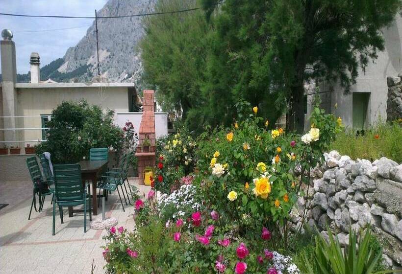 بنسيون Apartments Jereb
