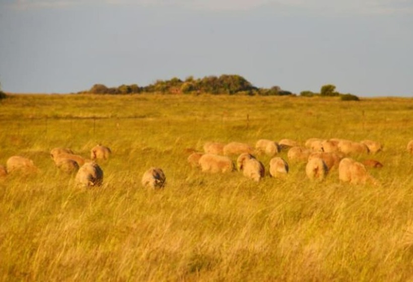 فندق De Oude Kraal Country Estate And Spa