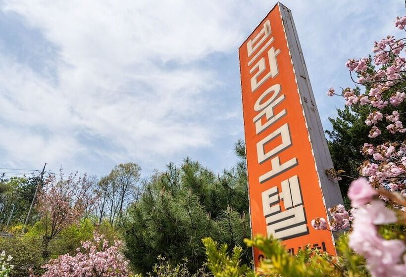Motel Gapyeong Brown