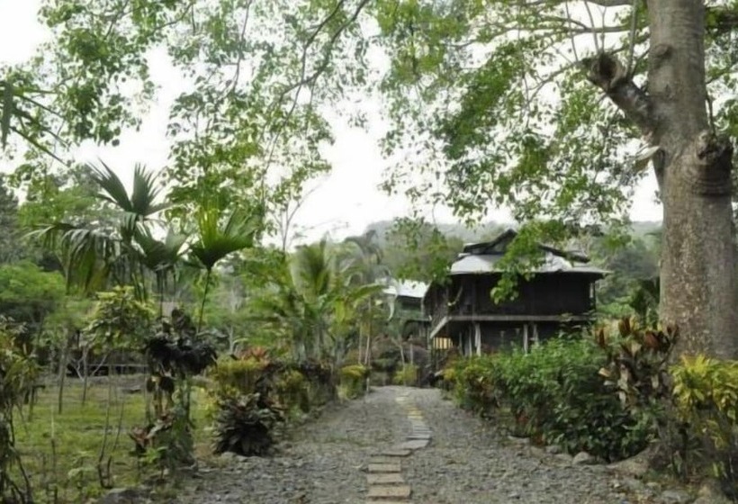 هاستل Acuali Eco Hostal