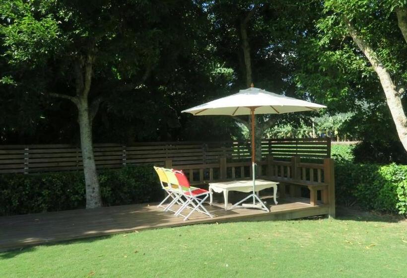 تختخواب و صبحانه Amy+ Bnb