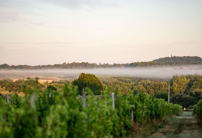 Vandenbeld Wines B&b