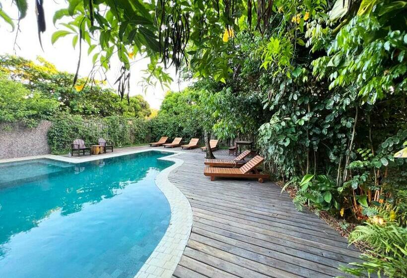 هاستل Pousada Mangue Sereno