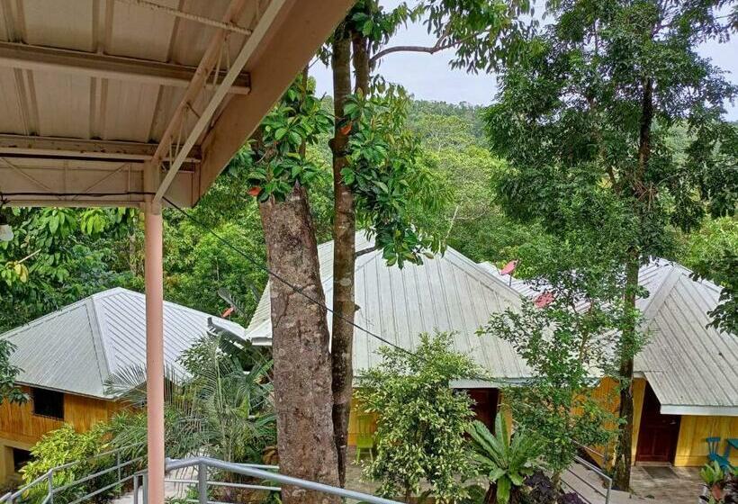 هاستل Woodland Inn