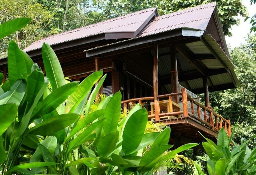 تختخواب و صبحانه Hillhouse Koh Yao Noi