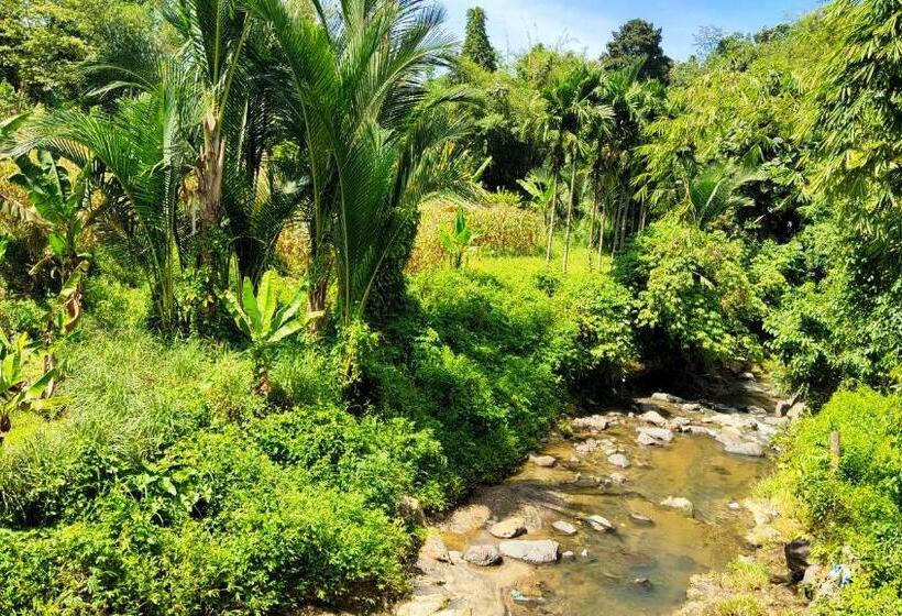 בית מלון כפרי Sayna