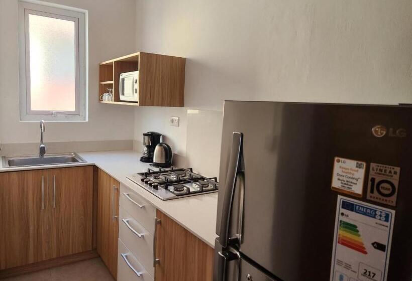 膳宿费 La Perla Holiday Apartments