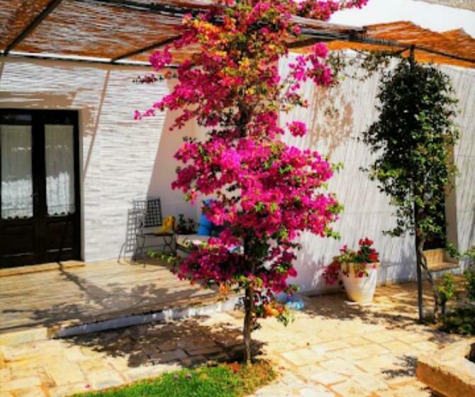 پانسیون Beautiful Triple Room In Ancient Masseria Near The Sea In A Quiet Olive Trees