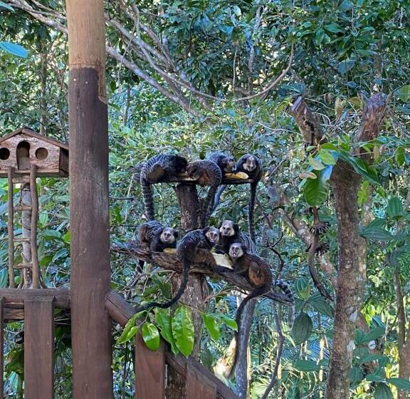 هاستل Pousada Natureza Viva
