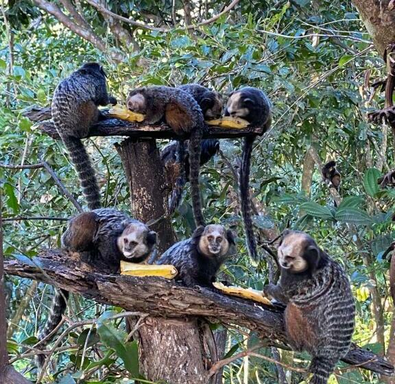 هاستل Pousada Natureza Viva