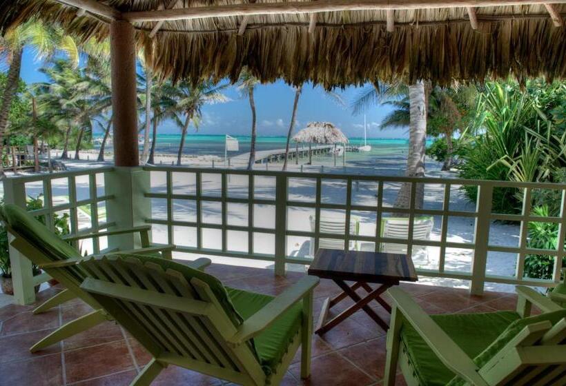 فندق Caye Casa