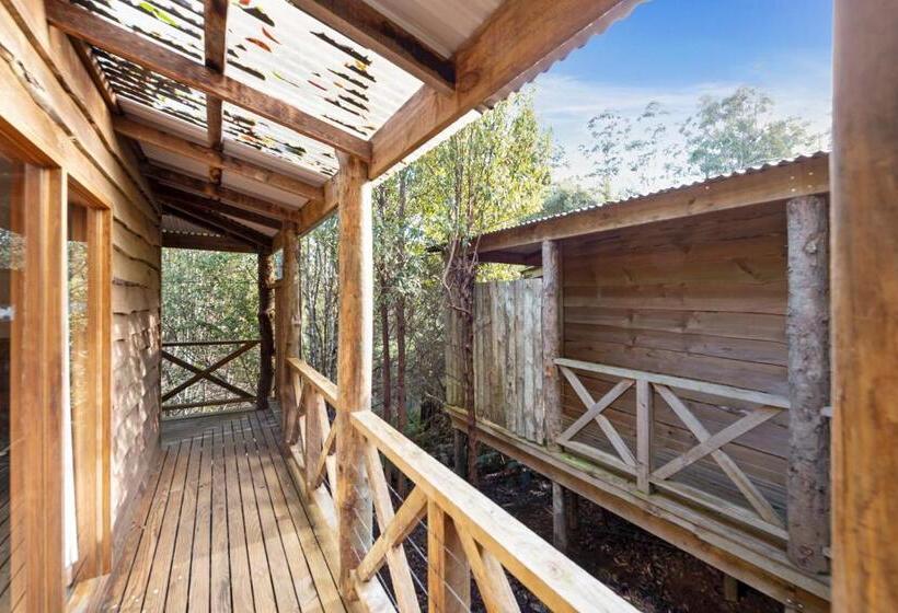 בית מלון כפרי Cradle Forest Inn