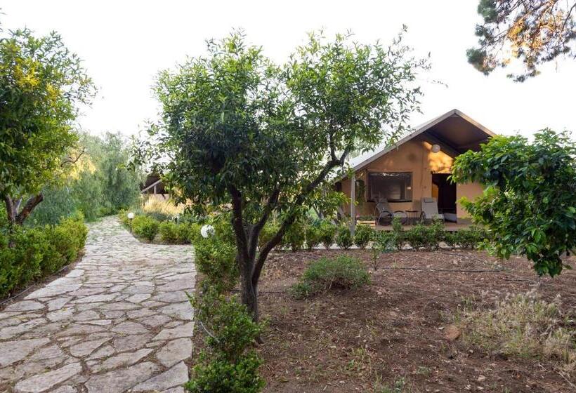 هتل Duca Di Castelmonte