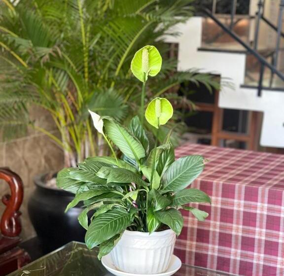 پانسیون Minh Thuận Homestay