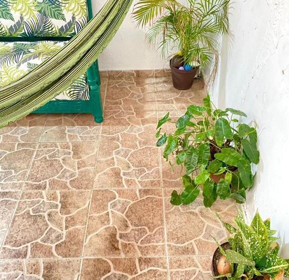 تختخواب و صبحانه Aurelia Compartida Hospedaje