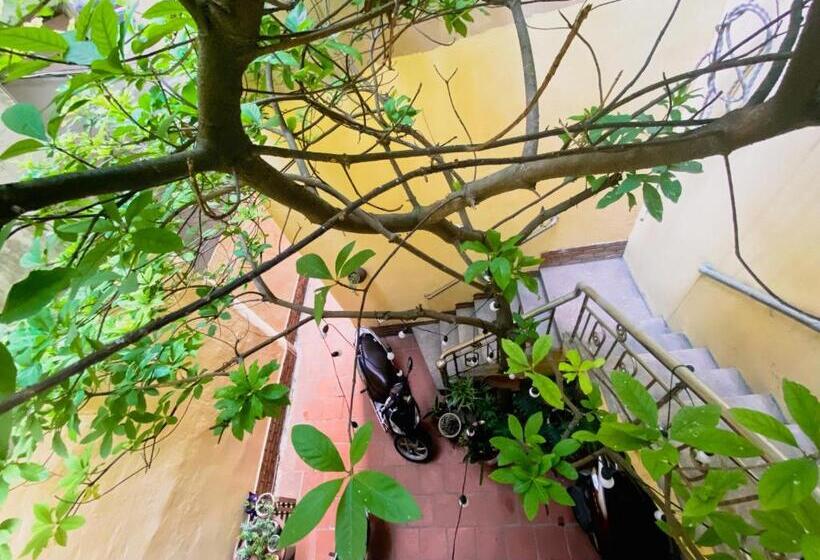 Morri Homestay   Quán Thánh