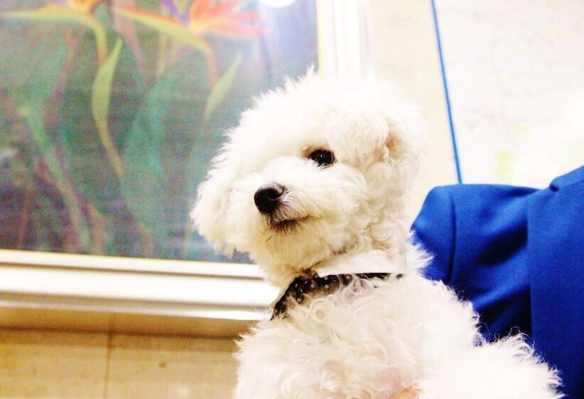 Fotos del hotel Ann Tsukiji:  20