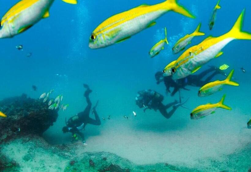 فندق Devocean Eco Adventure Lodge