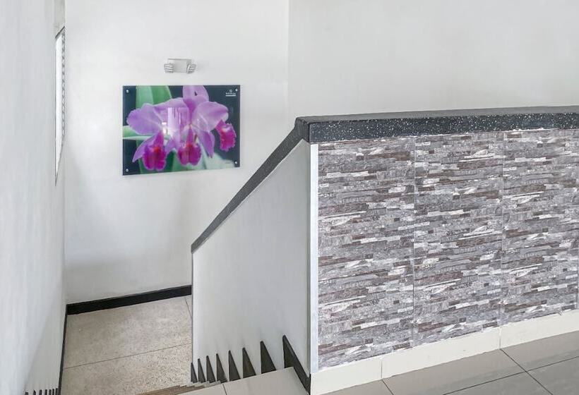 هتل Suite Center Pereira