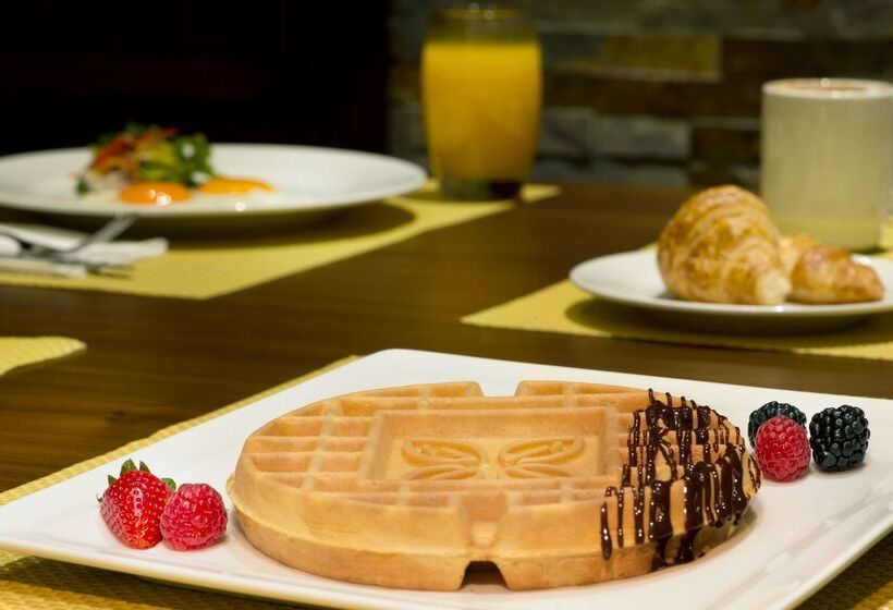 Fotos del hotel Hilton Garden Inn Dubai Al Muraqabat  Deira:  57