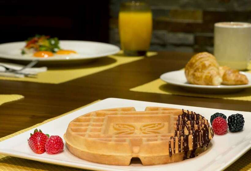 Fotos del hotel Hilton Garden Inn Dubai Al Muraqabat  Deira:  8