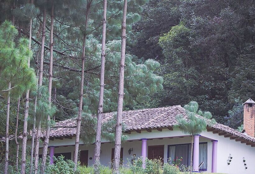 Fotos del hotel Molino De La Alborada:  2