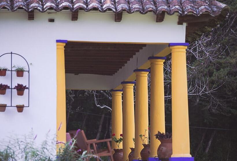 Fotos del hotel Molino De La Alborada:  11