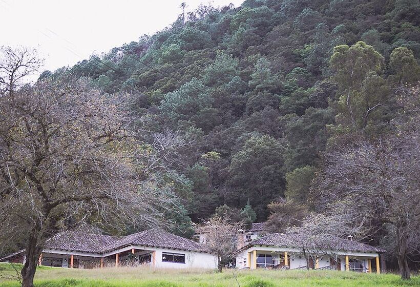 Fotos del hotel Molino De La Alborada:  15