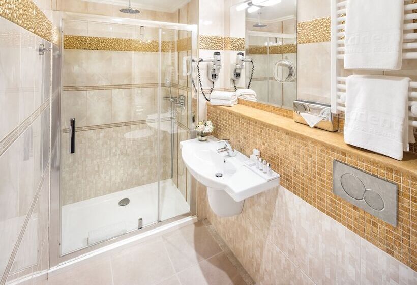 Fotos del hotel Occidental Praha Wilson:  29