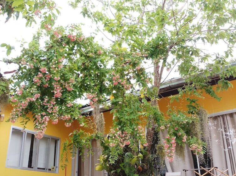 ホテル Penny's Home Stay Resort