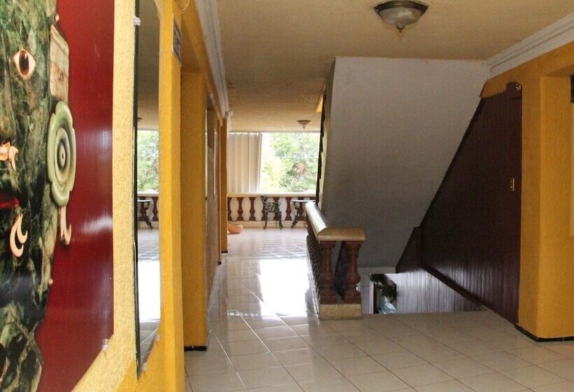 Fotos del hotel Suites Elia Noemi:  13