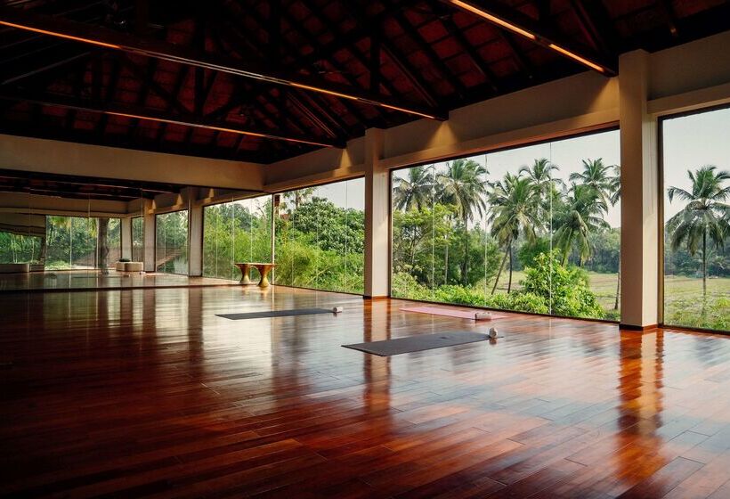 هتل Diwa Club By Alila   A Hyatt Brand