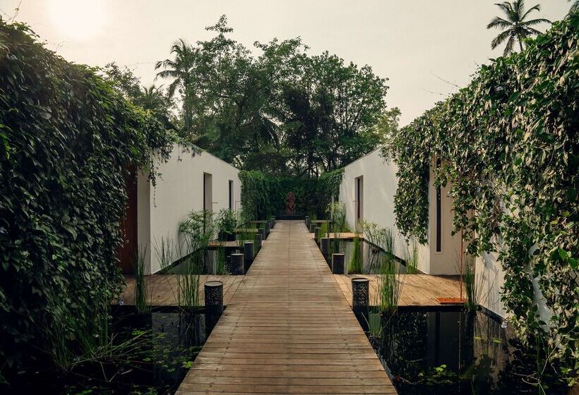 هتل Diwa Club By Alila   A Hyatt Brand