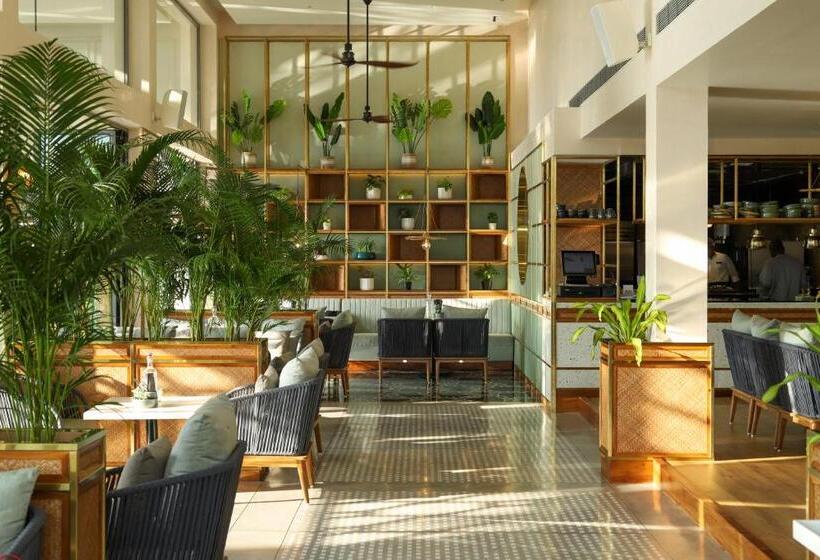 هتل Diwa Club By Alila   A Hyatt Brand